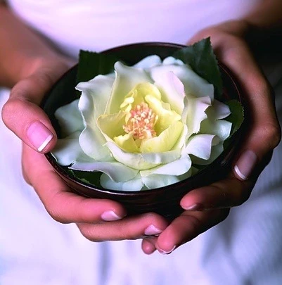 Khéo bố thí để đến bờ kia